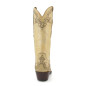 L 148-31 Clarita L 148-31 Clarita