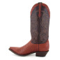 Texas Lizard Tejus Peanut