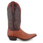 Texas Lizard Tejus Peanut