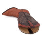 Texas Lizard Tejus Peanut