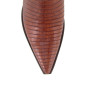 Texas Lizard Tejus Peanut