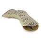 2966 Piton Barriga Bone