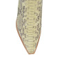 2966 Piton Barriga Bone
