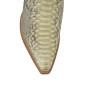 3588 Piton Barriga Bone 3588 Piton Barriga Bone