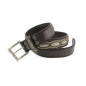 7606 Hurricane Bronce 7606 Hurricane Bronce