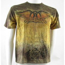 Aerosmith Ray Logo