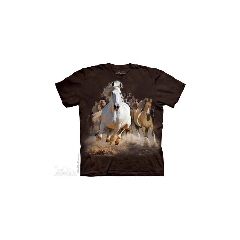Stampede Stampede