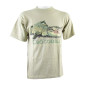 Saltwater Crocodile Saltwater Crocodile