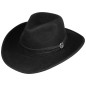 3598121 Western Woolfelt