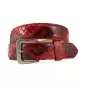 Red Python