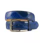 Blue Python