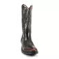 WX43-3-A V4 Brush off Red White WX43-3-A V4 Brush off Red White