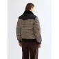 Regular Western Puffer Regular Western Puffer